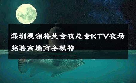 深圳观澜格兰会夜总会KTV夜场招聘高端商务模特 