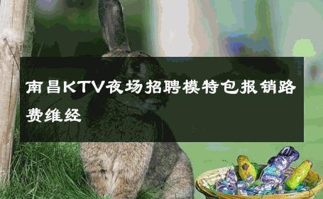 南昌KTV夜场招聘模特包报销路费维经 