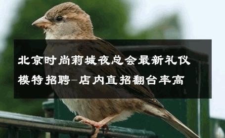 北京时尚莉城夜总会最新礼仪模特招聘-店内直招翻台率高 