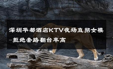 深圳华都酒店KTV夜场直招女模-拒绝套路翻台率高 