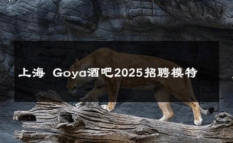 上海 Goya酒吧2025招聘模特 