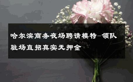 哈尔滨商务夜场聘请模特-领队驻场直招真实无押金 