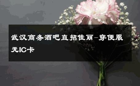 武汉商务酒吧直招佳丽-穿便服无IC卡 
