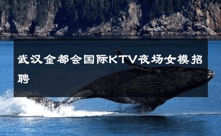 武汉金都会国际KTV夜场女模招聘 