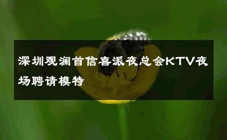 深圳观澜首信喜派夜总会KTV夜场聘请模特 