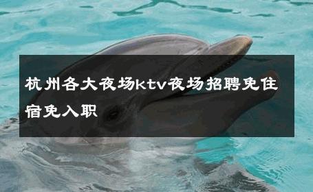 杭州各大夜场ktv夜场招聘免住宿免入职 