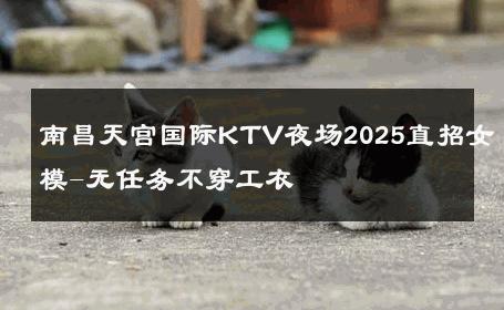 南昌天宫国际KTV夜场2025直招女模-无任务不穿工衣 