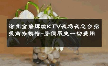 沧州金碧辉煌KTV夜场夜总会招揽商务模特-穿便服免一切费用 