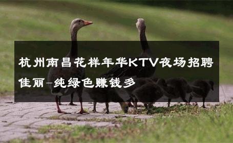杭州南昌花样年华KTV夜场招聘佳丽-纯绿色赚钱多 