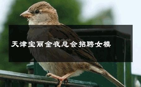 天津宝丽金夜总会招聘女模 