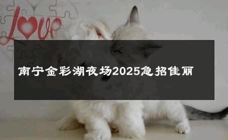 南宁金彩湖夜场2025急招佳丽 