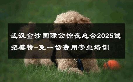武汉金沙国际公馆夜总会2025诚招模特-免一切费用专业培训 