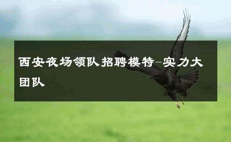 西安夜场领队招聘模特-实力大团队 