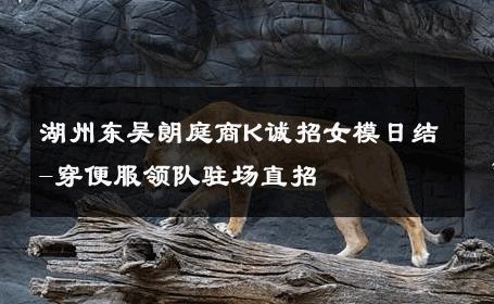 湖州东吴朗庭商K诚招女模日结-穿便服领队驻场直招 