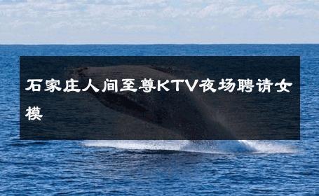 石家庄人间至尊KTV夜场聘请女模 