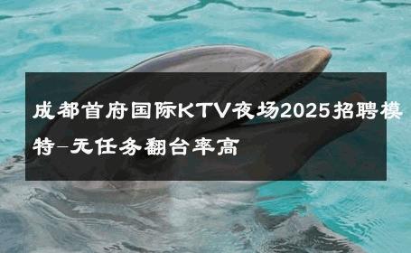 成都首府国际KTV夜场2025招聘模特-无任务翻台率高 