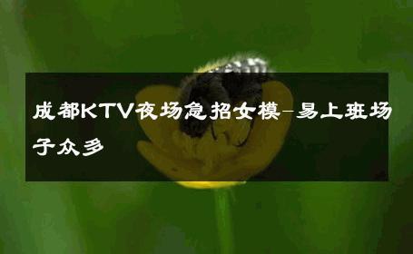 成都KTV夜场急招女模-易上班场子众多 