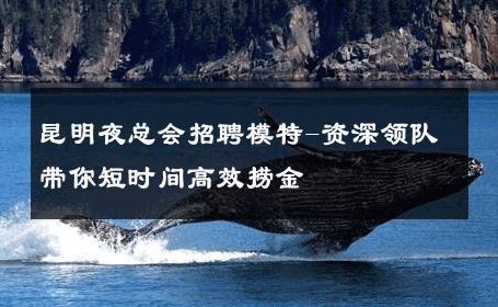 昆明夜总会招聘模特-资深领队带你短时间高效捞金 
