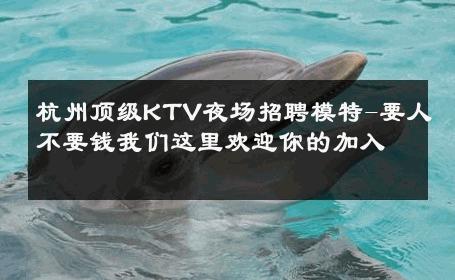 杭州顶级KTV夜场招聘模特-要人不要钱我们这里欢迎你的加入 