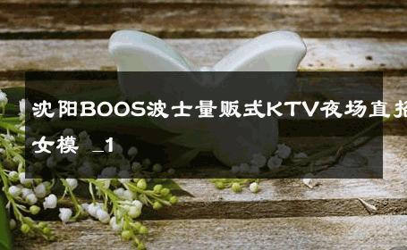 沈阳BOOS波士量贩式KTV夜场直招女模 _1