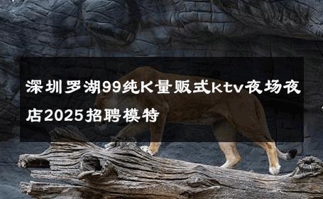 深圳罗湖99纯K量贩式ktv夜场夜店2025招聘模特 
