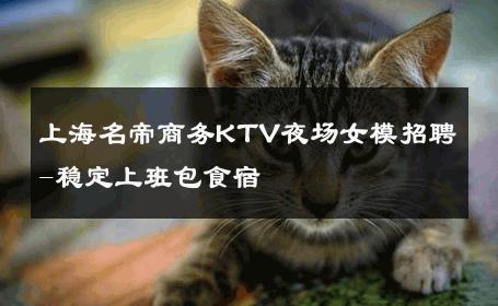 上海名帝商务KTV夜场女模招聘-稳定上班包食宿 