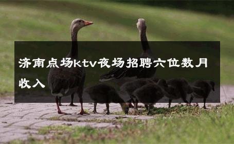济南点场ktv夜场招聘六位数月收入 