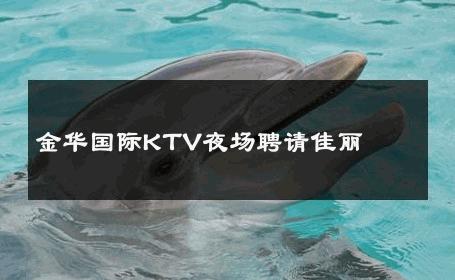 金华国际KTV夜场聘请佳丽 