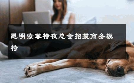昆明索菲特夜总会招揽商务模特 