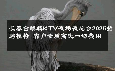 长春金麒麟KTV夜场夜总会2025招聘模特-客户素质高免一切费用 