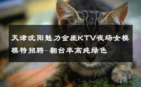 天津沈阳魅力金座KTV夜场女模模特招聘-翻台率高纯绿色 