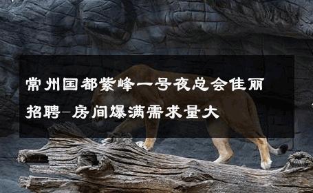 常州国都紫峰一号夜总会佳丽招聘-房间爆满需求量大 