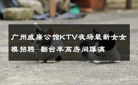 广州威廉公馆KTV夜场最新女女模招聘-翻台率高房间爆满 
