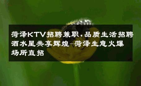 菏泽KTV招聘兼职,品质生活招聘酒水星共享辉煌-菏泽生意火爆场所直招
