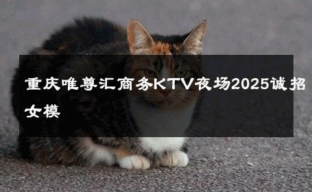 重庆唯尊汇商务KTV夜场2025诚招女模 