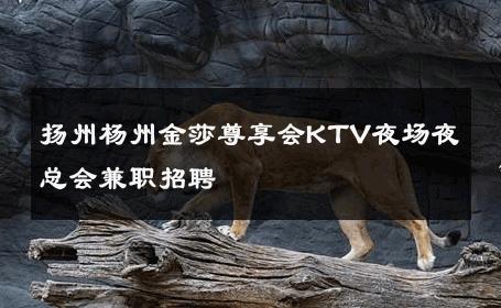 扬州杨州金莎尊享会KTV夜场夜总会兼职招聘 