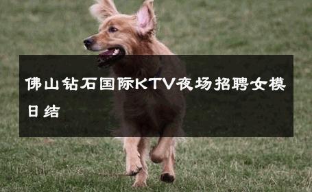 佛山钻石国际KTV夜场招聘女模日结 