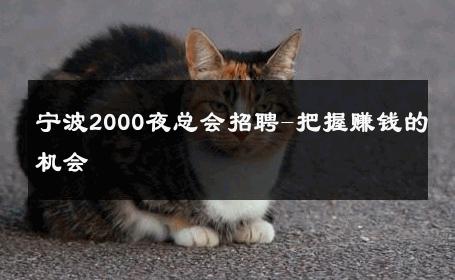宁波2000夜总会招聘-把握赚钱的机会 