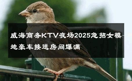 威海商务KTV夜场2025急招女模-外地豪车接送房间爆满 