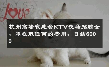 杭州高端夜总会KTV夜场招聘女，不收取任何的费用，日结6000 