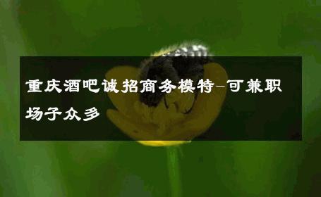 重庆酒吧诚招商务模特-可兼职场子众多 