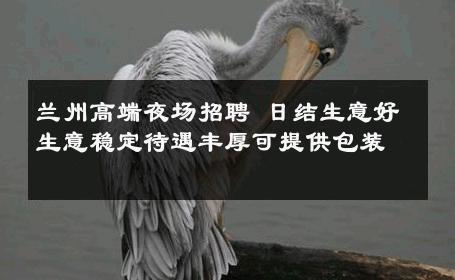 兰州高端夜场招聘 日结生意好生意稳定待遇丰厚可提供包装 