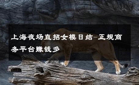 上海夜场直招女模日结-正规商务平台赚钱多 