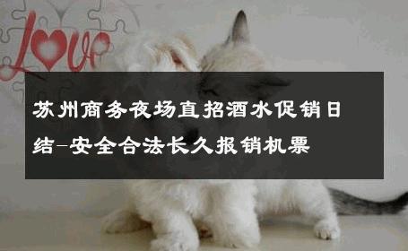 苏州商务夜场直招酒水促销日结-安全合法长久报销机票 