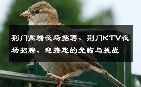 荆门高端夜场招聘，荆门KTV夜场招聘，迎接您的光临与挑战