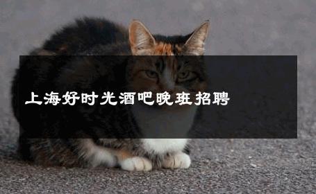 上海好时光酒吧晚班招聘 