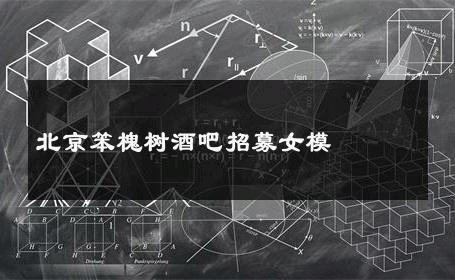 北京笨槐树酒吧招募女模 