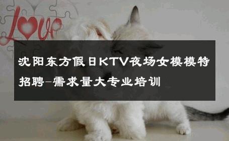 沈阳东方假日KTV夜场女模模特招聘-需求量大专业培训 