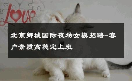 北京卿城国际夜场女模招聘-客户素质高稳定上班 