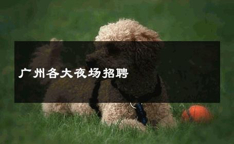 广州各大夜场招聘 